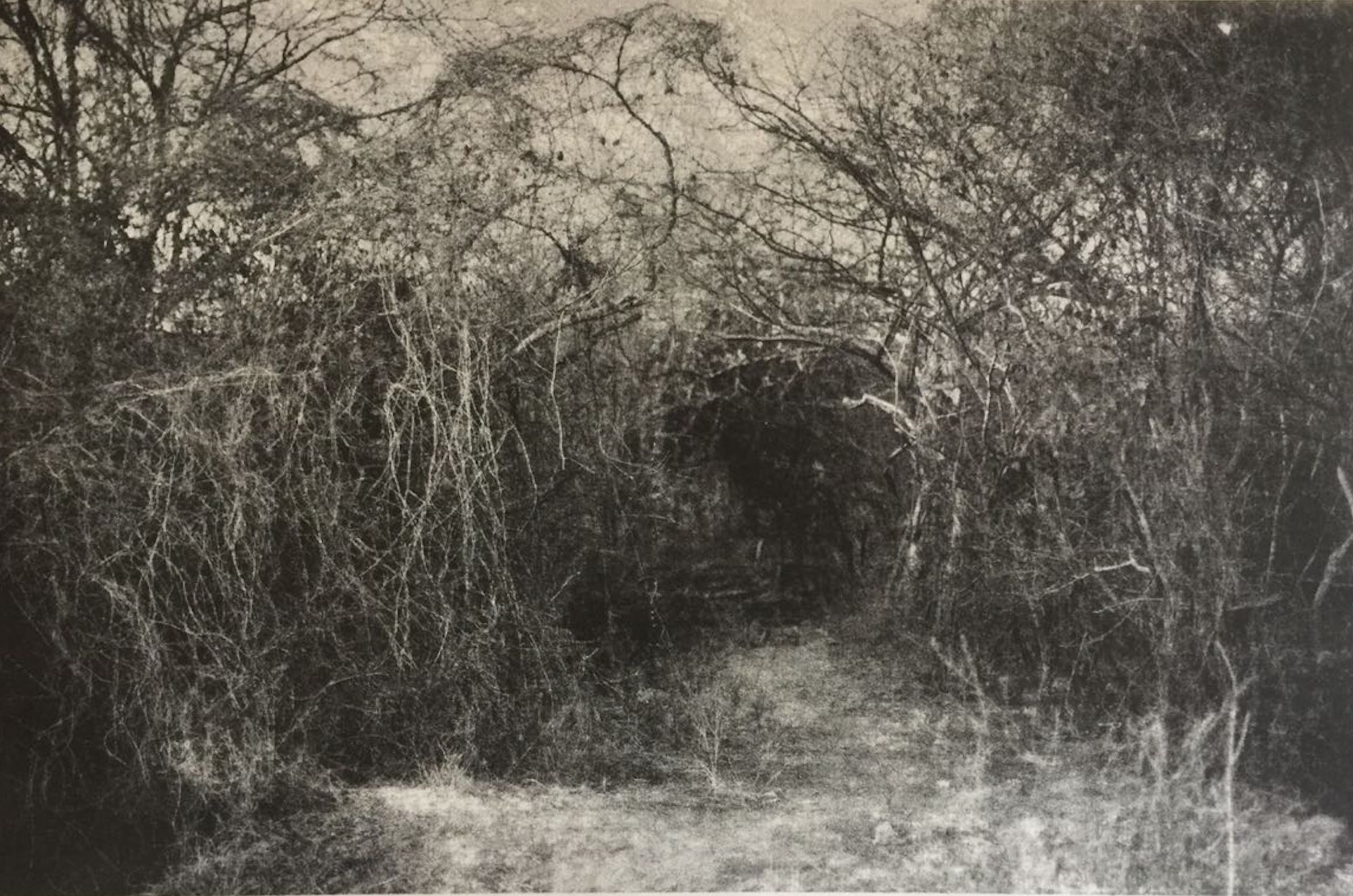 Eunice Adorno Photography 2