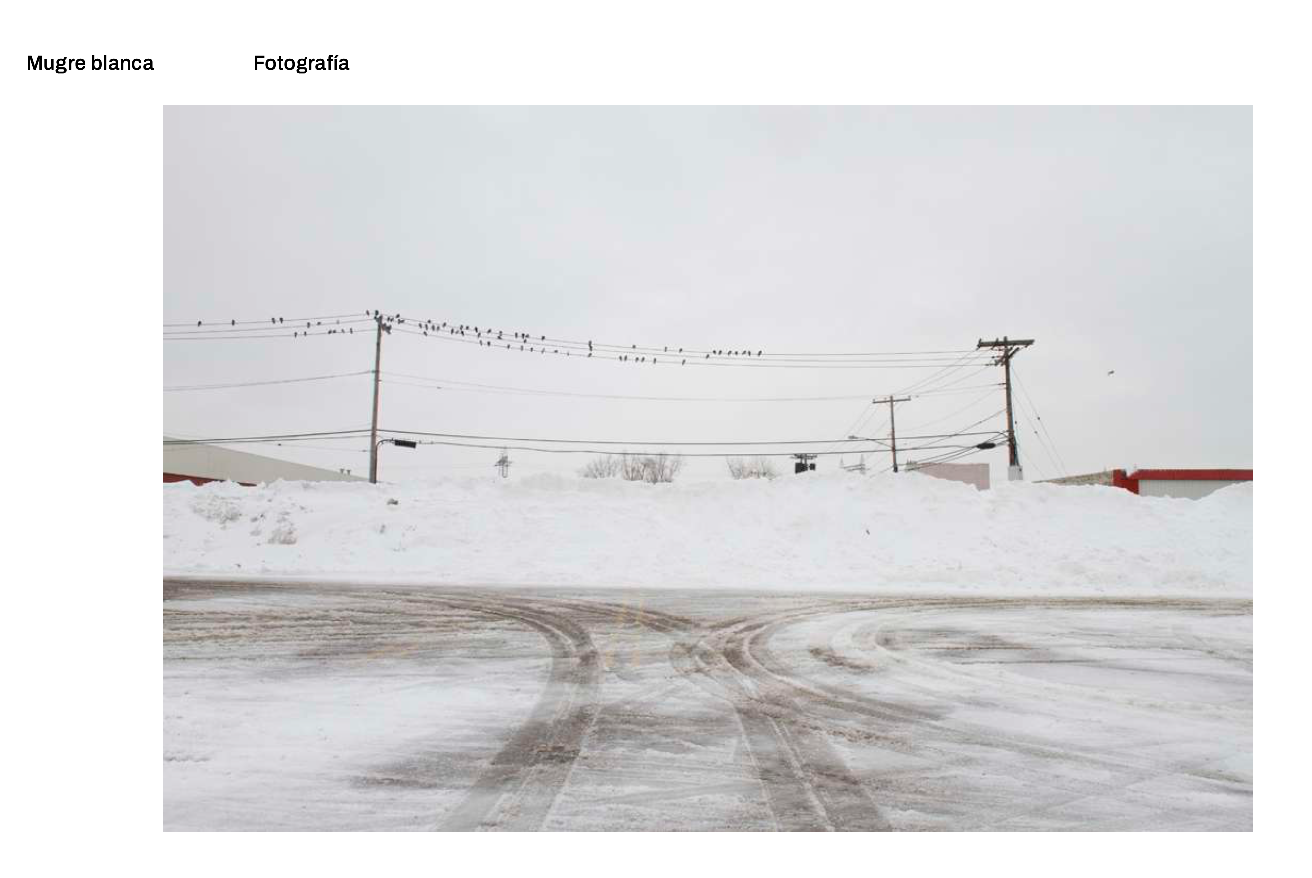 Mugre Blanca - Buffalo, NY