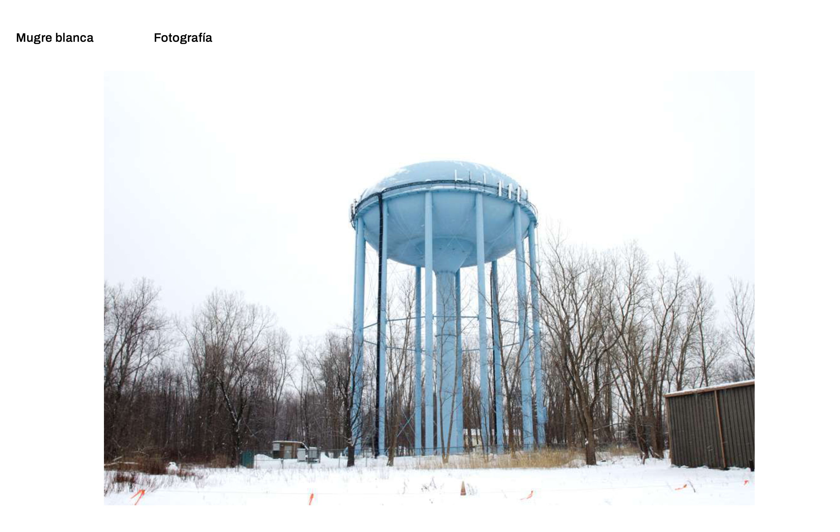 Mugre Blanca - Buffalo, NY