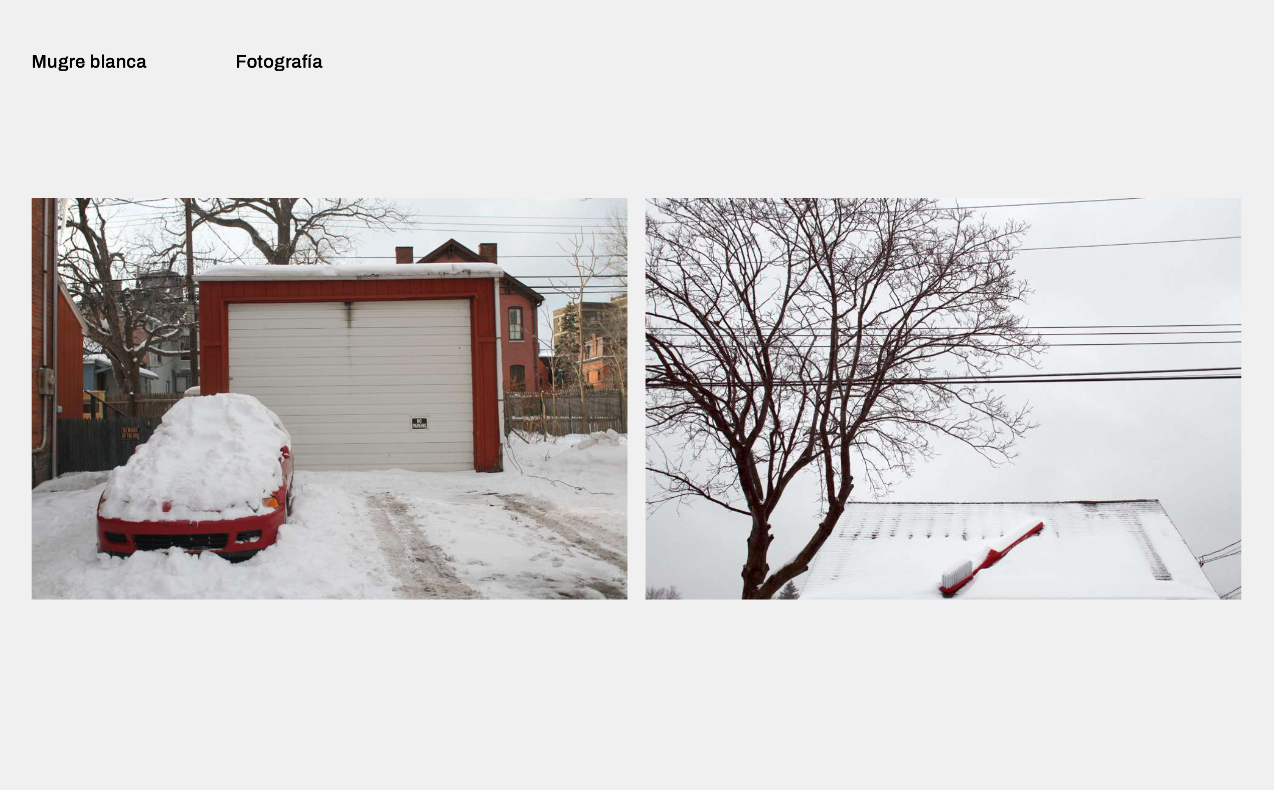 Mugre Blanca - Buffalo, NY