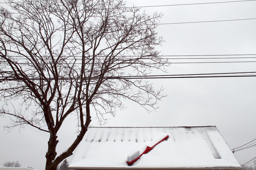 Mugre Blanca - Buffalo, NY