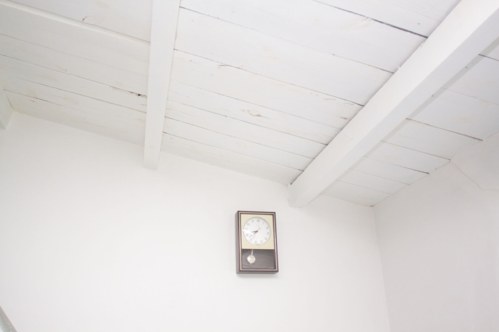 Serie Mujeres Flores