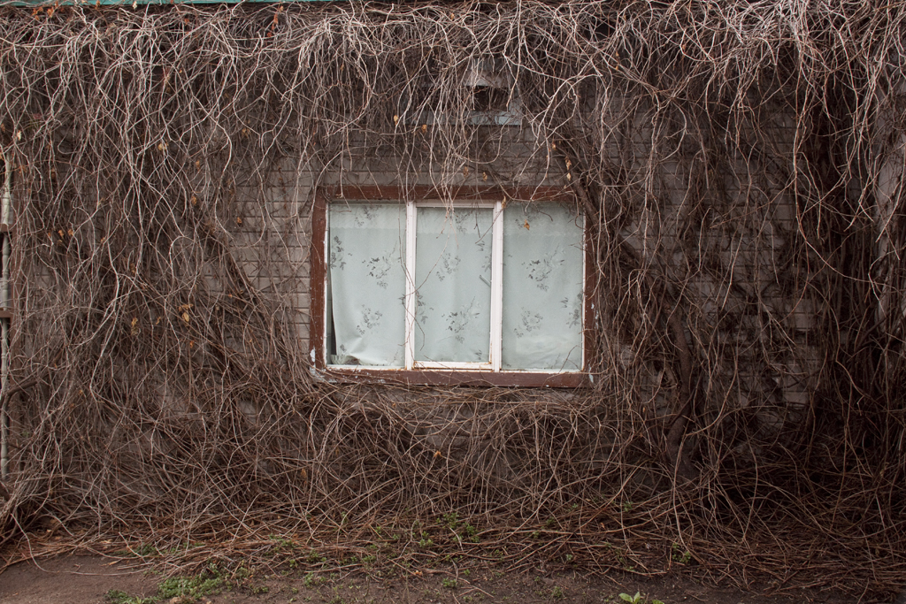 Serie Mujeres Flores